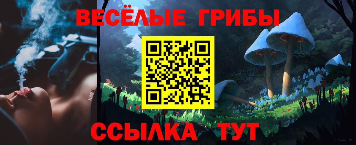 Галлюциногенные грибы прущие грибы Сафоново